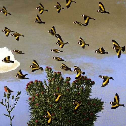 DAVID INSHAW Goldfinches, 2003-04