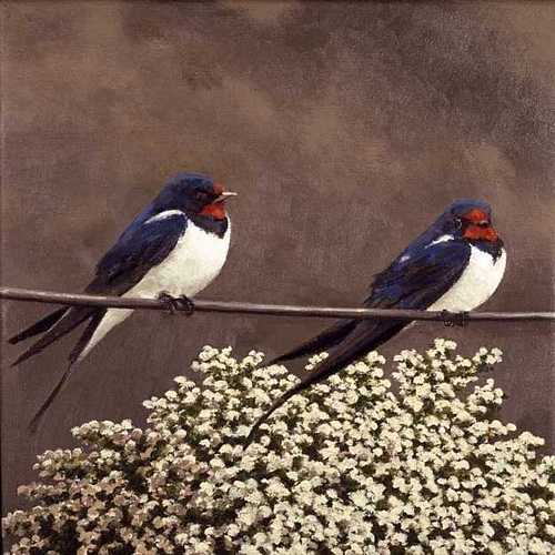 DAVID INSHAW Swallows, 2004