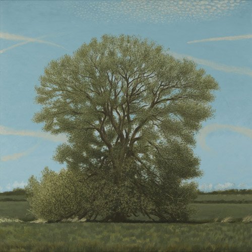 DAVID INSHAW Willow Tree, 2010