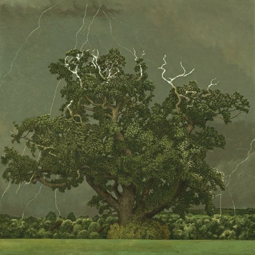 DAVID INSHAW Oak Tree, 2011
