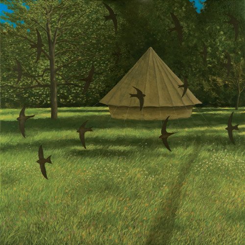 DAVID INSHAW Swifts and Campsite, Lacock, 2012